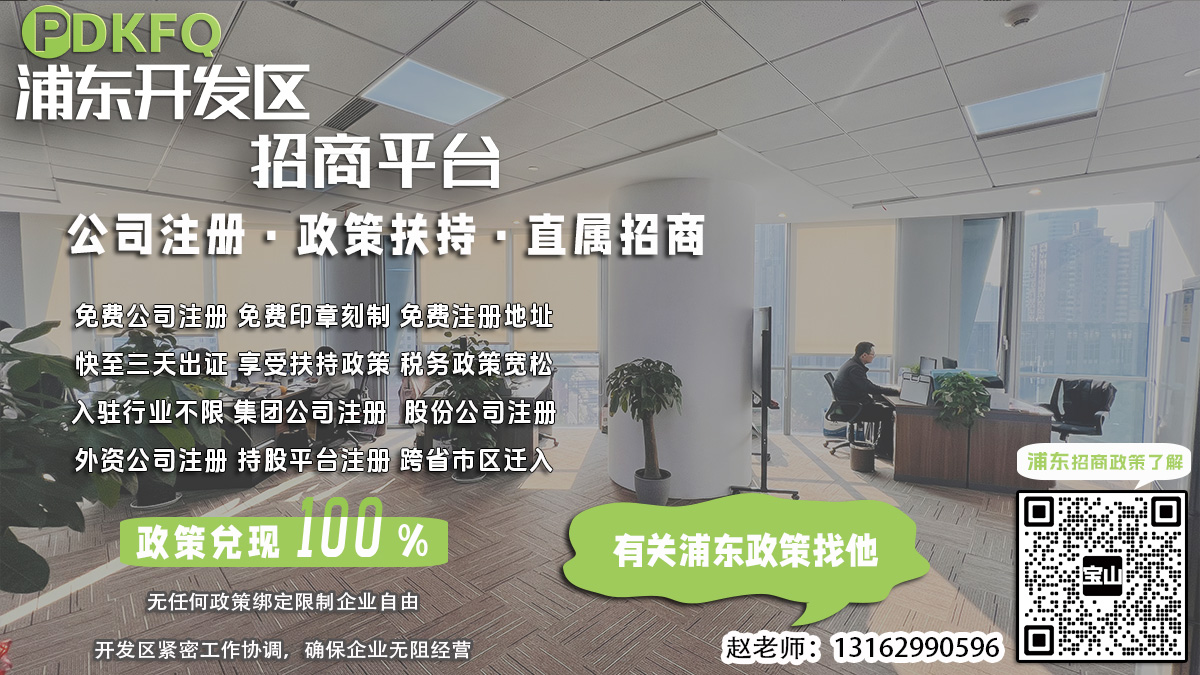 浦东减资税务备案流程中税务优惠政策如何享受？